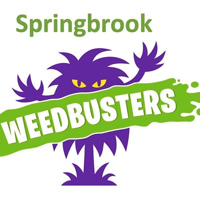 Springbrook Weedbusters