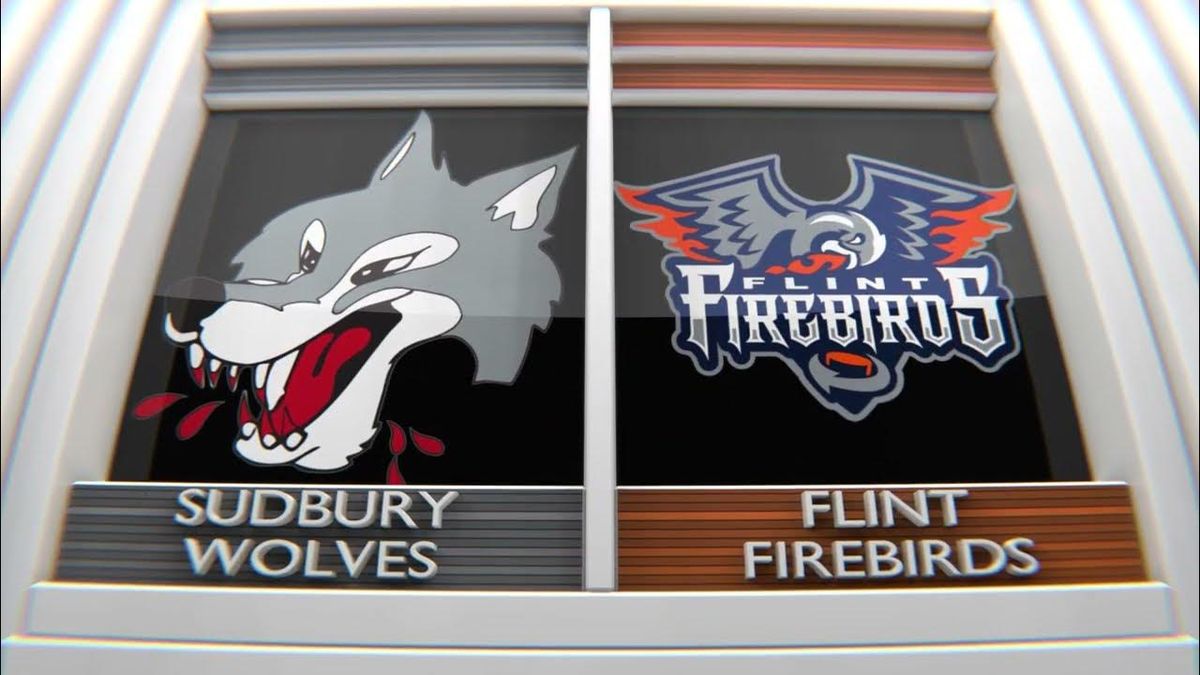 Flint Firebirds at Sudbury Wolves, 17 January | Event in Sudbury | AllEvents