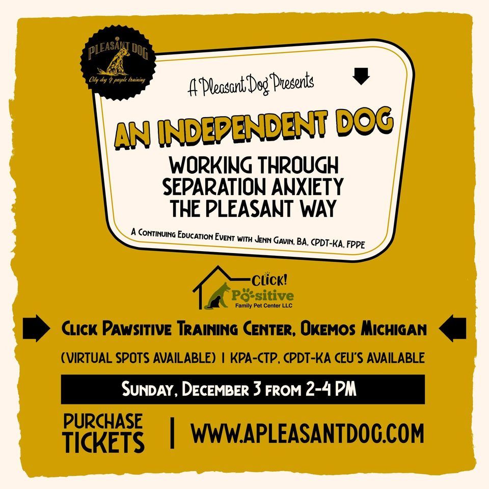 An Independent Dog, Click Pawsitive Family Pet Center, Okemos, December