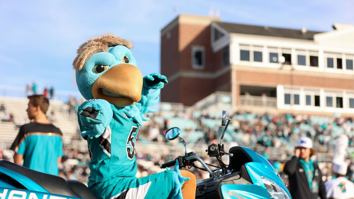 Coastal Carolina Chanticleers at South Carolina Gamecocks Football at Williams-Brice Stadium, 22 November
