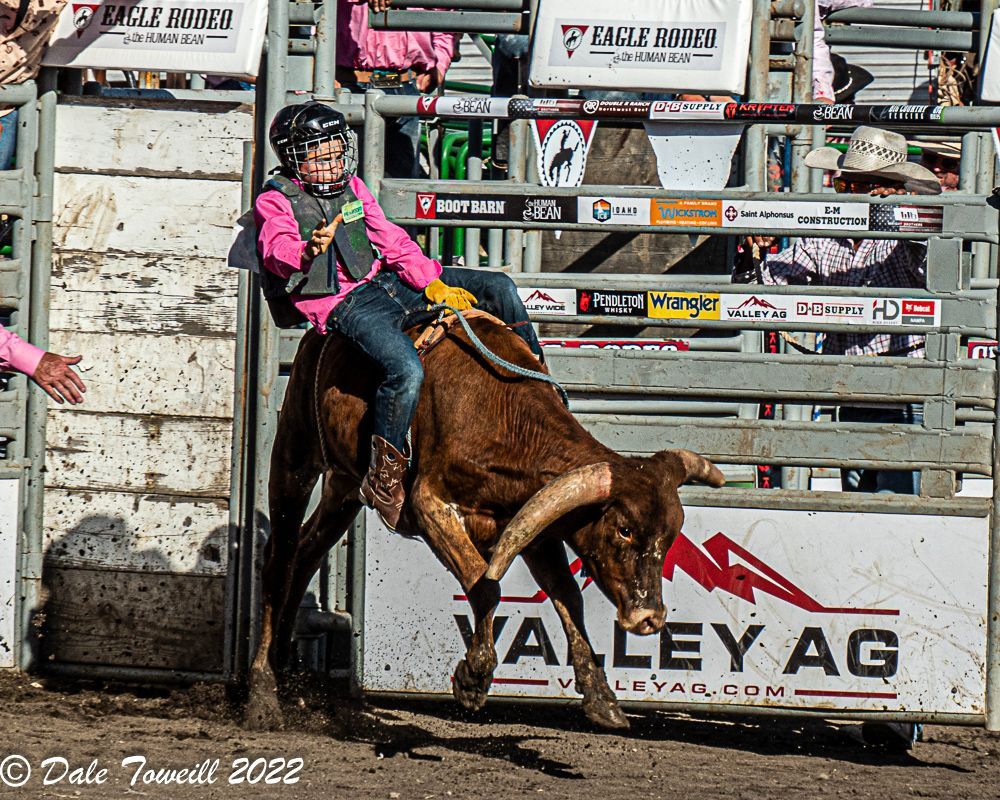 Eagle Rodeo at Eagle Rodeo Grounds, 10 June | Event in Horseshoe Bend | AllEvents