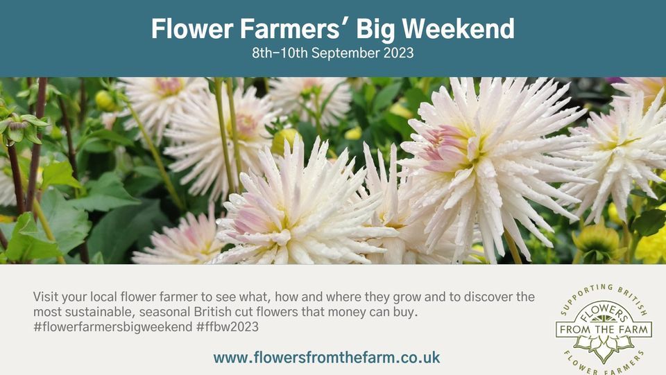 Flowers from the farm "Big Weekend" Open day, Eastcote, Northamptonshire, Towcester, September