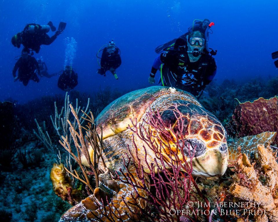 Spring Break East Coast Weekend, Riviera Beach, florida, North Palm ...