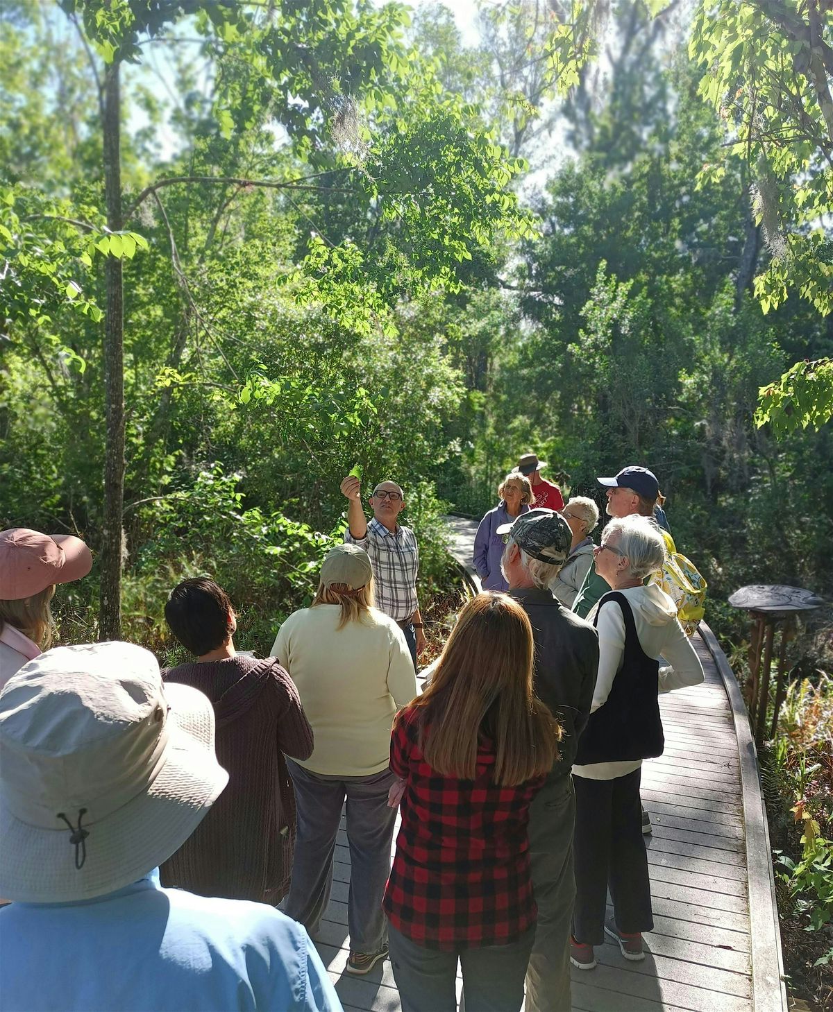 Botany Walk, 12 December | Event in Tarpon Springs | AllEvents