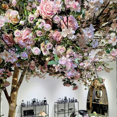 Queen of Hearts logo