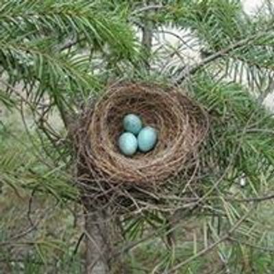 The Nest NV