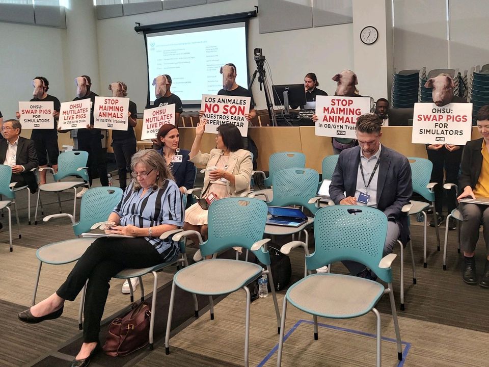 Portland Protest OHSU for Using Live Animals!, OHSU OUS Collaborative