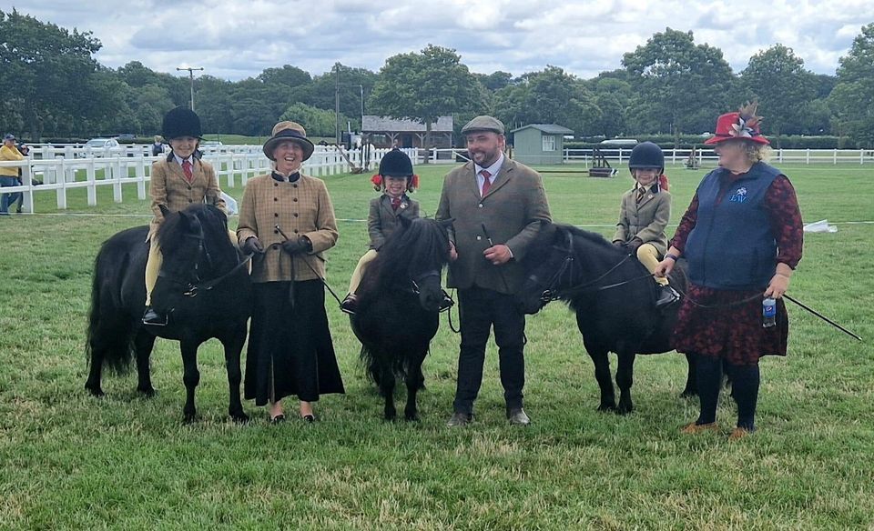 Wiltshire Shetland Performance showing clinics , Midway Manor, Bradford