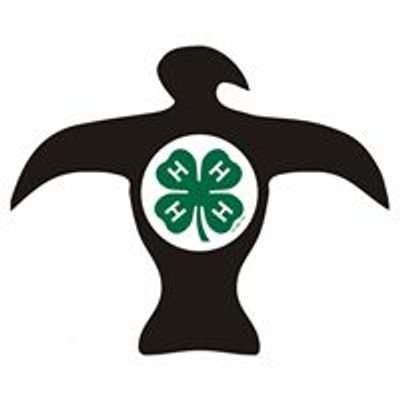 Rock Eagle 4-H Center