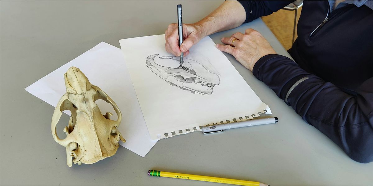 Scientific Illustration Workshop, 28 February | Event in Devon | AllEvents