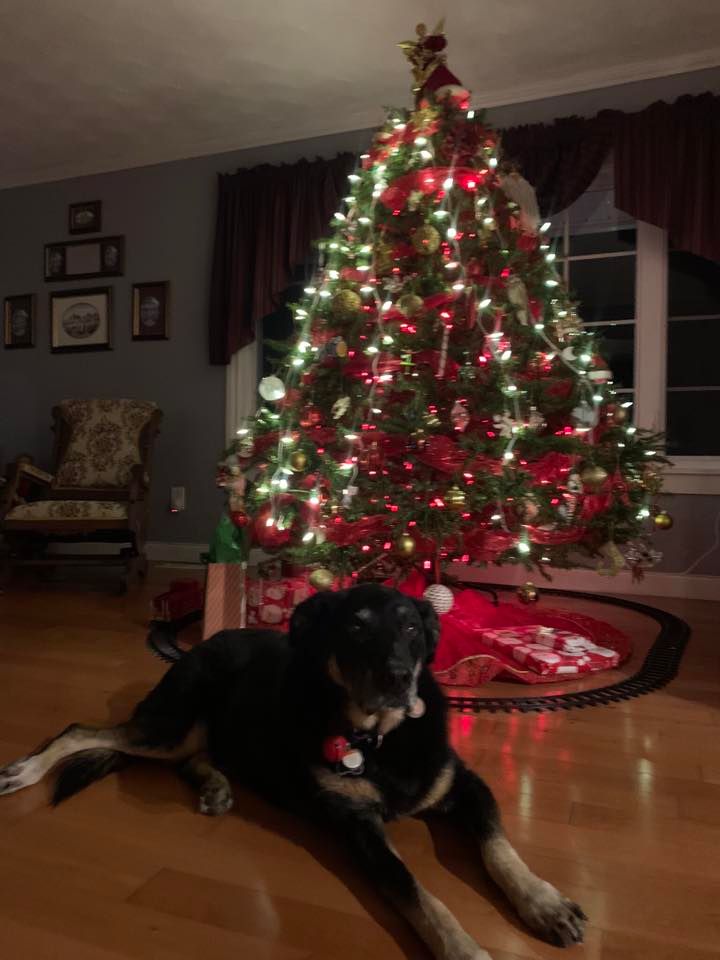 Christmas Party, Fredericton, December 2 2023 AllEvents.in