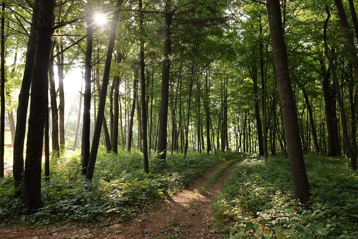 Young Men Camp, 11 June | Event in Wallsburg | AllEvents