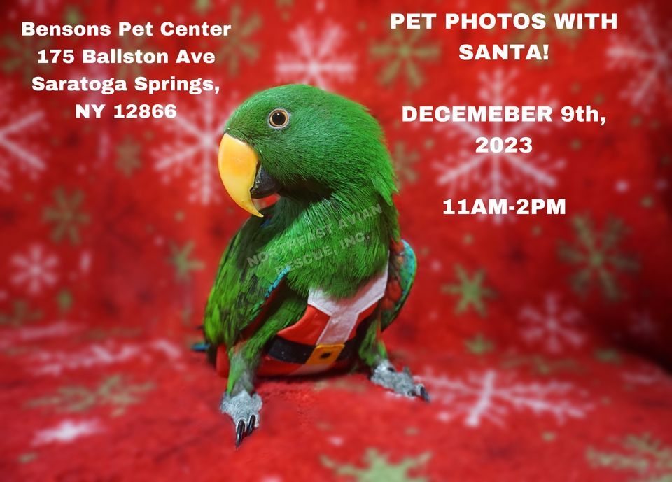 Pet Photos with Santa Fundraiser, Benson's Pet Center (Saratoga Springs), December 9 2023