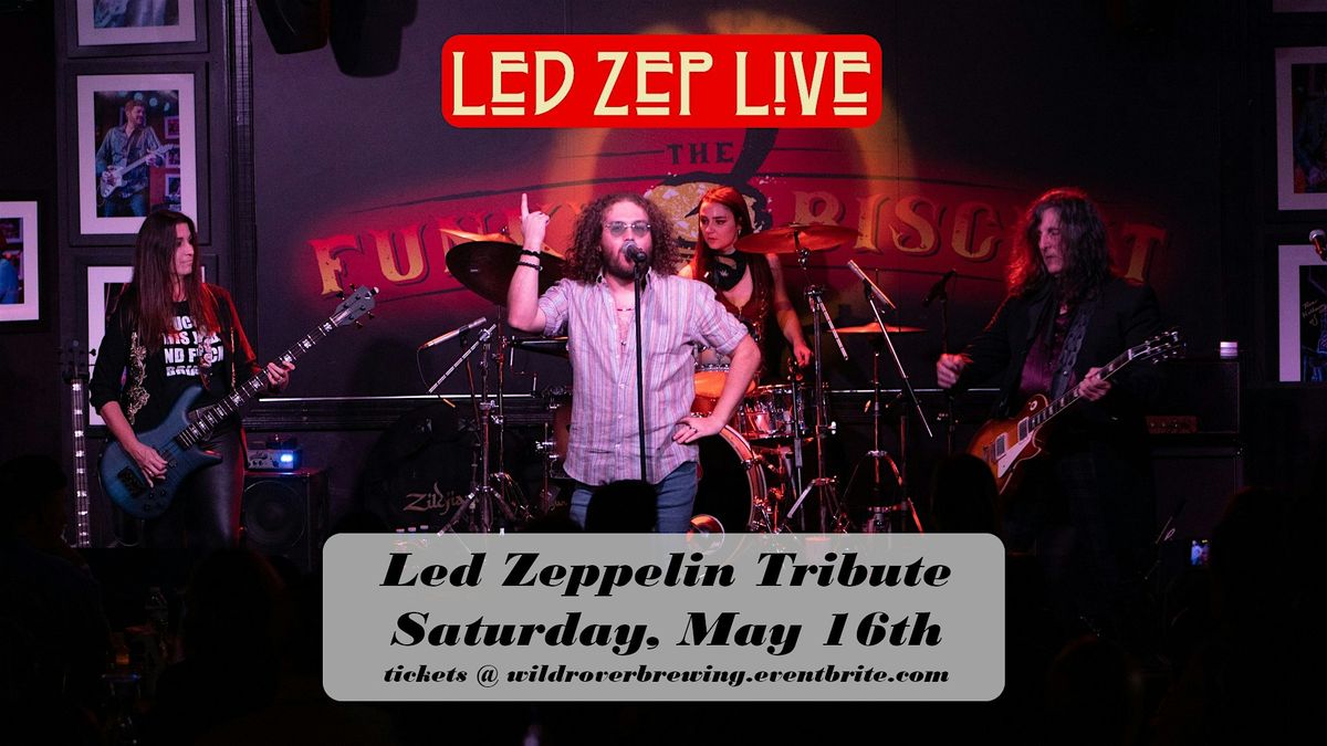 Led Zep Live - Led Zeppelin Tribute, Wild Rover Brewing Company, Tampa ...