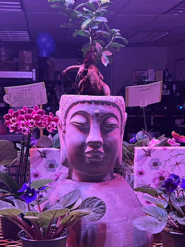 Reiki Level One, 6656 Mountain Light Pl, Crozet, VA 22932, Port