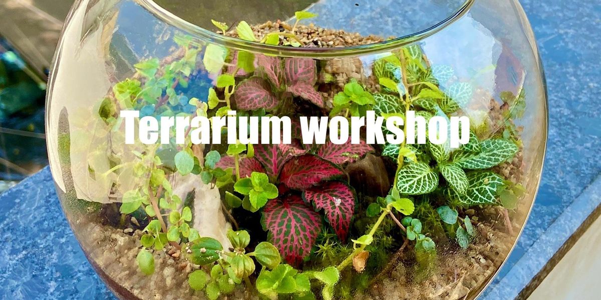 Terrarium workshop, 6 July | Event in Secunderabad | AllEvents