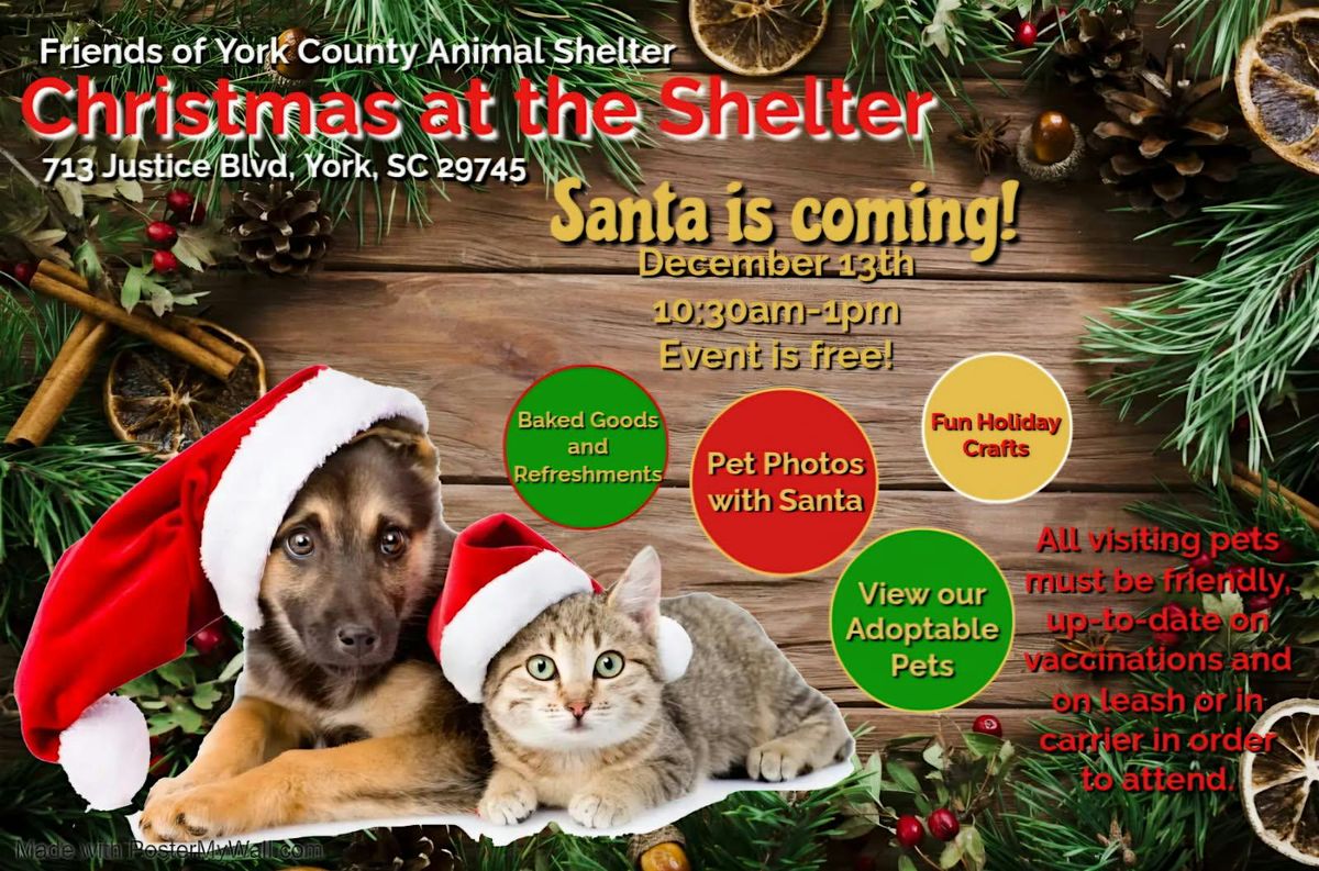 Christmas at the Shelter, 13 December | Event in York | AllEvents