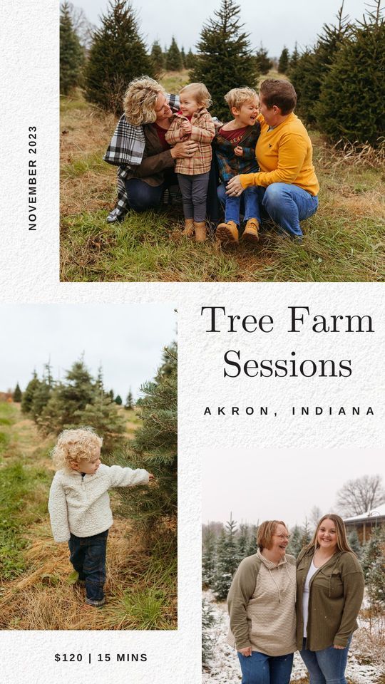 Eleven Four Photos Tree Farm Sessions, Potter's 'The Family Tree