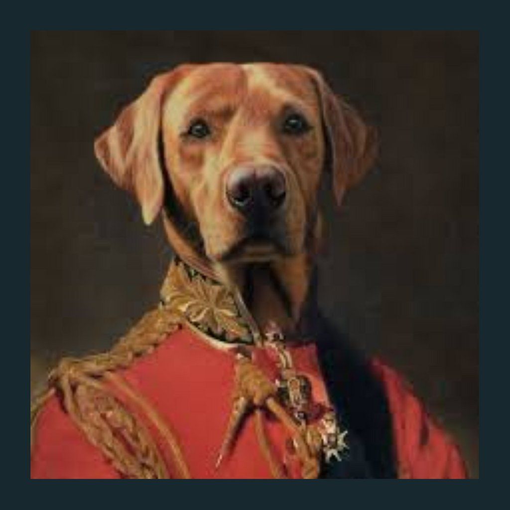 The Duke's Underground Sessions | Event in Woodford | AllEvents