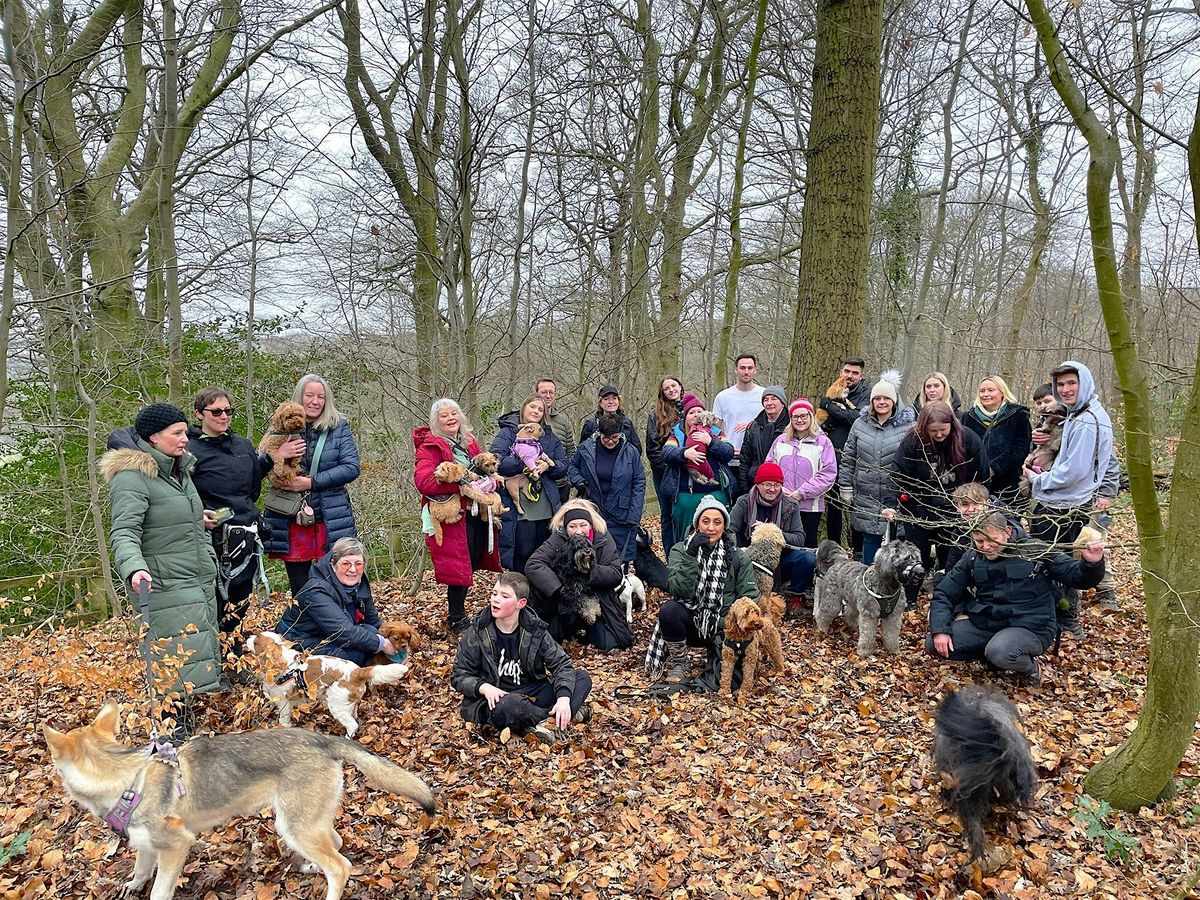 MorePaws Walking Club - Bramhall Park, 6 December | Event in Cheadle Hulme | AllEvents