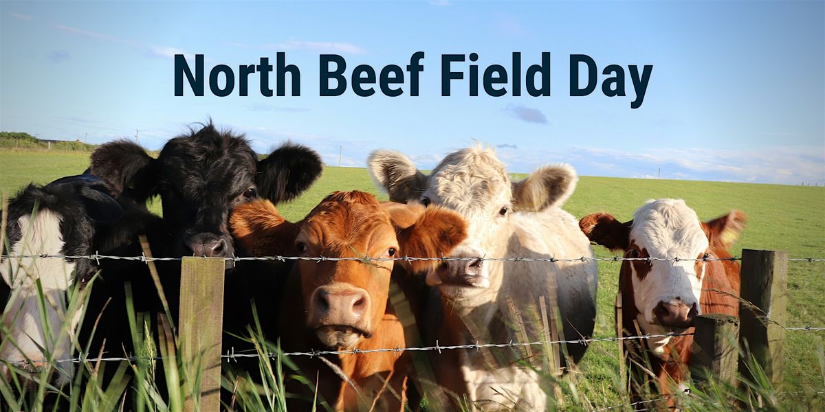 North Beef Field Day, 21 January | Event in Logan | AllEvents