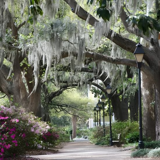 Trivia Tour, 28 June | Event in Savannah | AllEvents