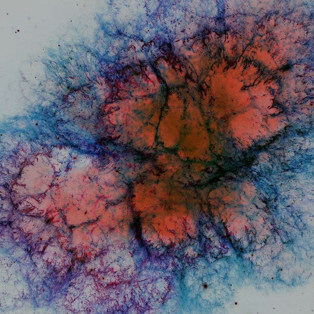 Matt Parker: An Evening of Unnecessary Detail, 12 July | Event in Brooklyn | AllEvents