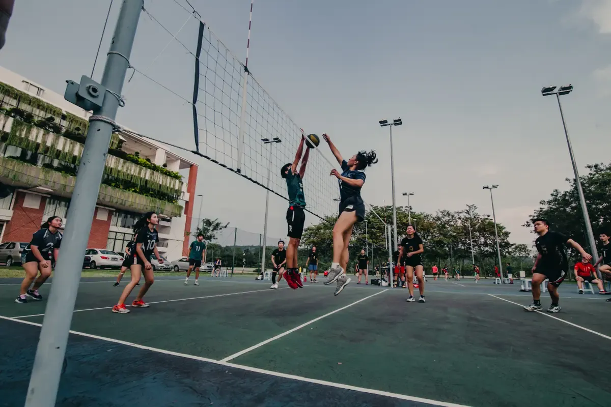 UC San Diego Tritons at Cal Poly Mustangs Womens Volleyball, 9 November | Event in San Luis Obispo | AllEvents