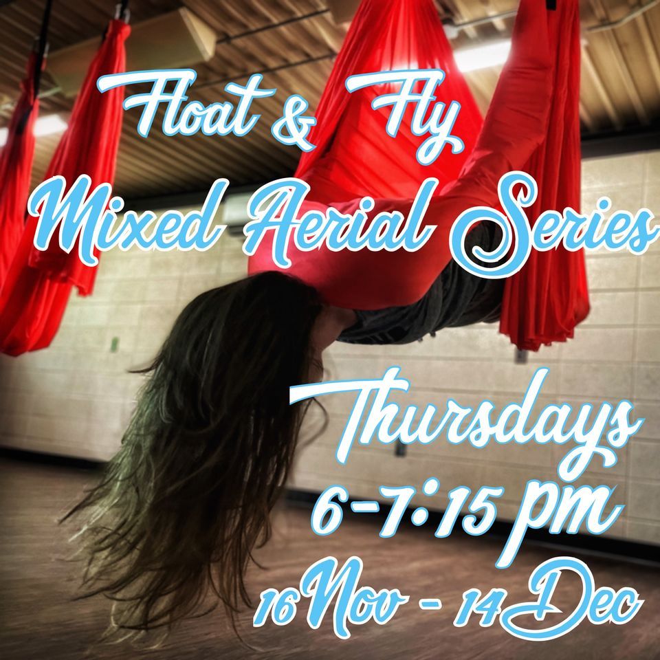 Aerial Yoga (Mixed Series), The Collective, Benton Harbor, 7 December