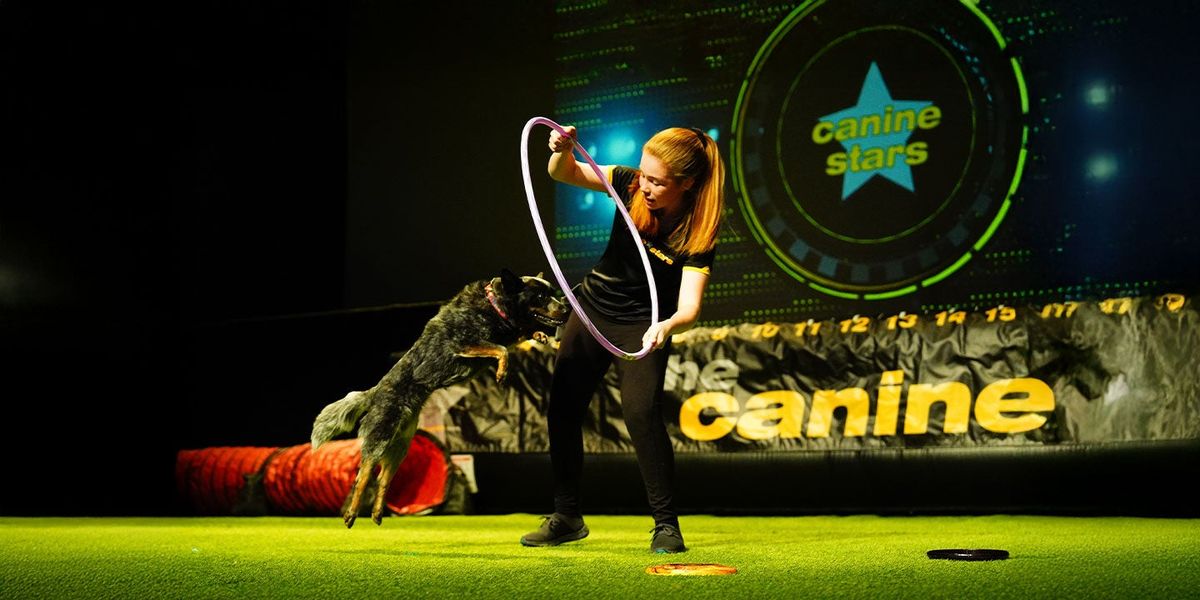 Parking The Canine Stars Stunt Dog Show, 28 December | Event in Stamford | AllEvents