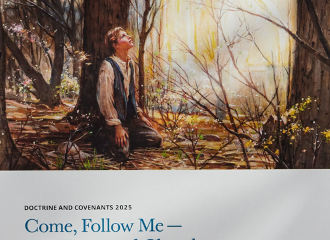 Ward Prayer & Come Follow Me Discussion, 14 December | Event in Lehi | AllEvents