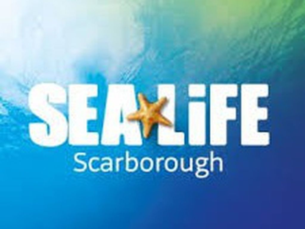 Sea Life Scarborough Anytime Entry, 2 December | Event in Scarborough | AllEvents