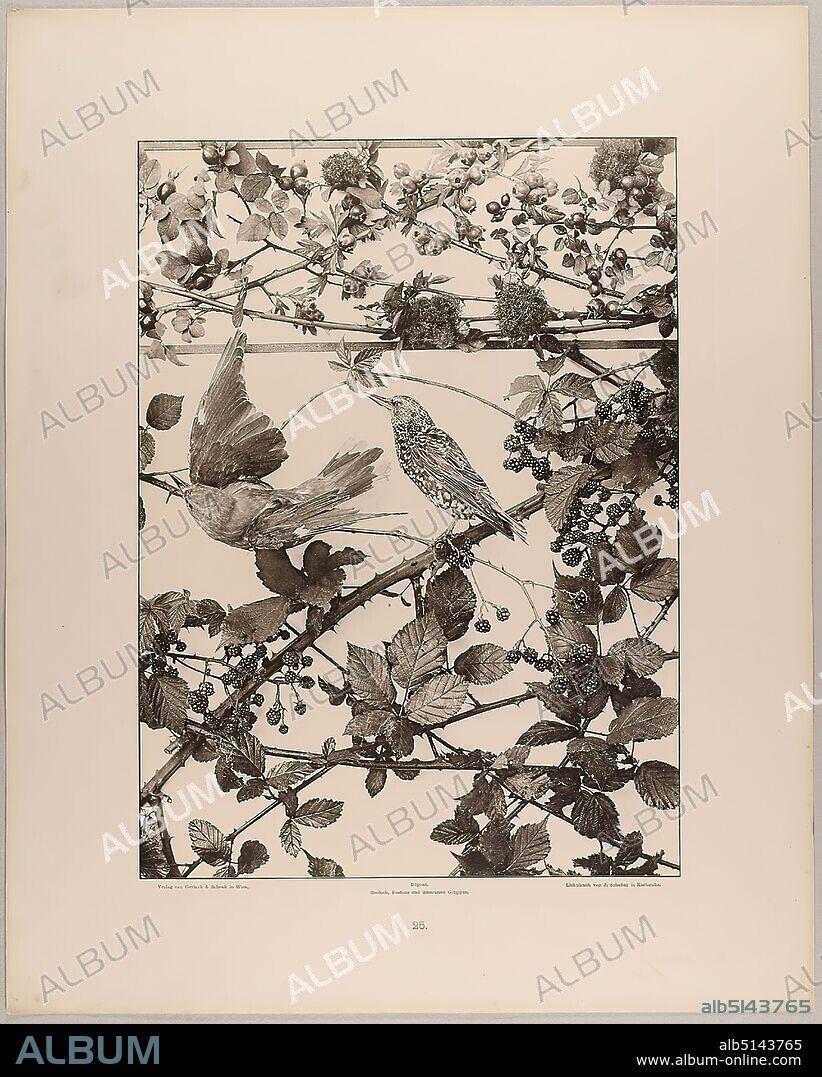 The Thorns Hamburg Tickets, Volksparkstadion, Hamburg, 6 March 2025