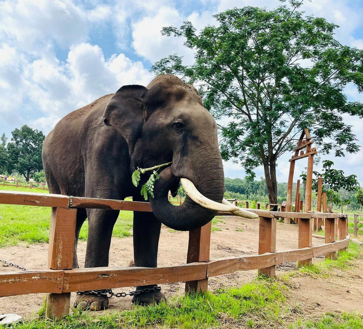 Coorg Backpacking Tour 2025, 24 July | Event in Coorg | AllEvents