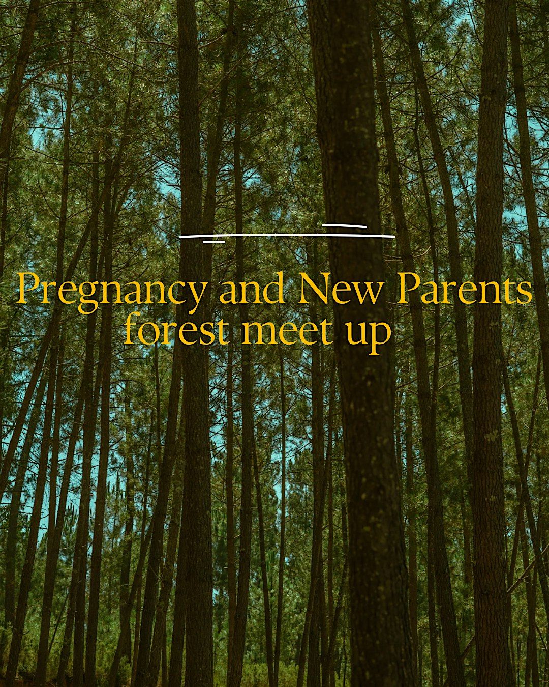 Pregnancy and New Parent mindful forest meet up