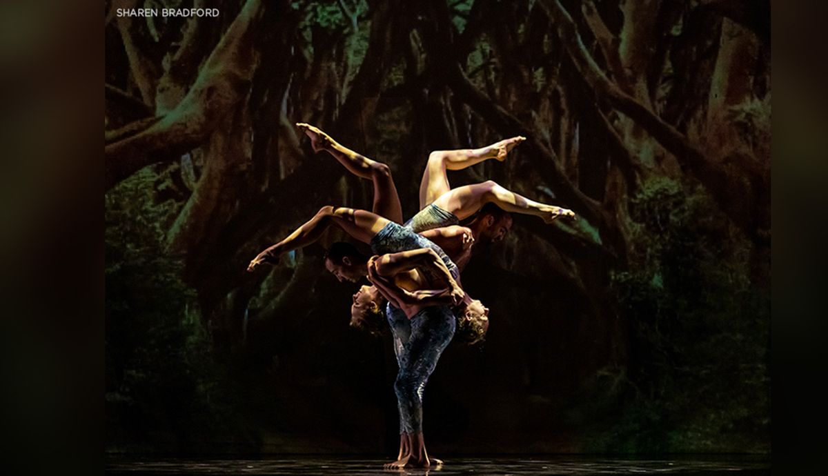 Momix: Alice, 4 December | Event in Palm Desert | AllEvents