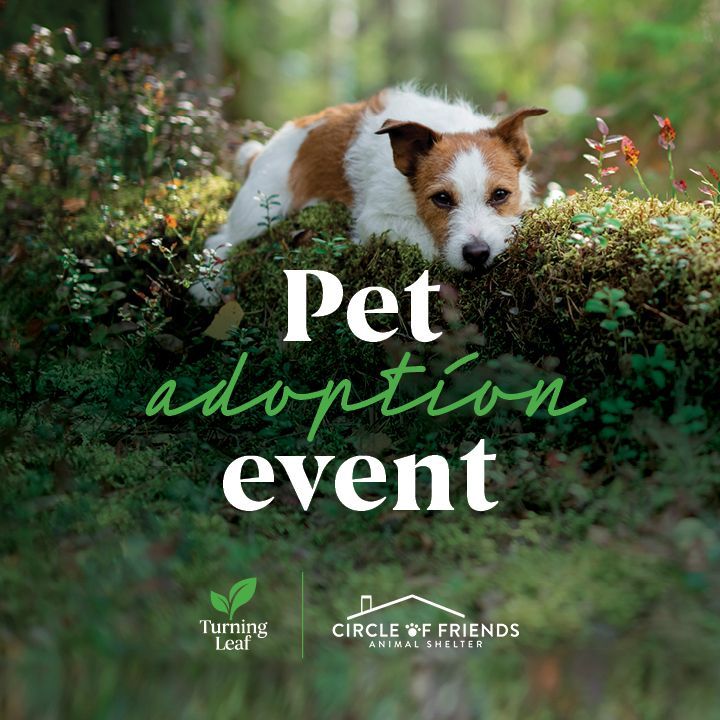 Pet Adoption Event with Turning Leaf, 2675 24th Ave S, Grand Forks, ND