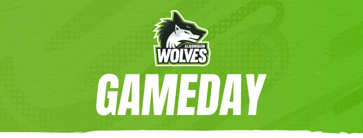 Varsity Volleyball: Algonquin Wolves vs. Durham College Lords, 24 January | Event in Ottawa | AllEvents