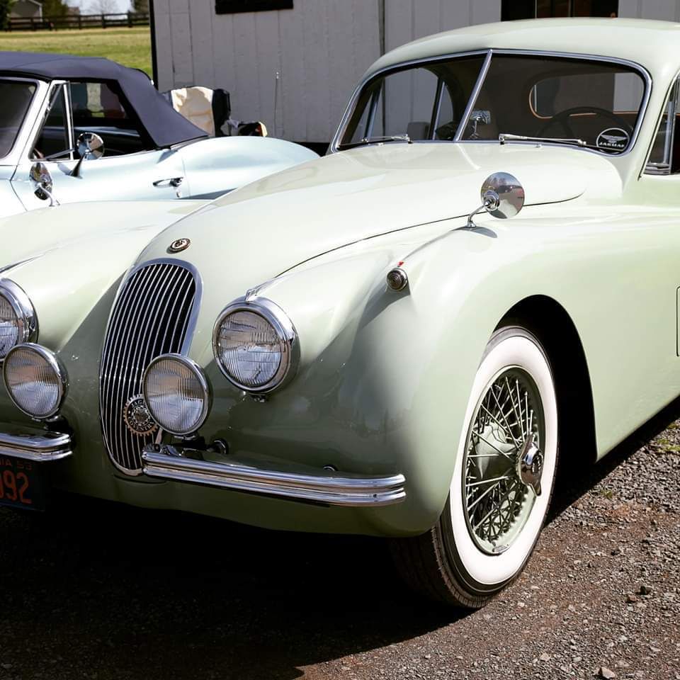 Cfapoa Christmas Party 2022 Paint & Sip Party "Starry Tropical Night" 6:00Pm, Manatee Island Bar And  Grill, Port Salerno, June 28 2022 | Allevents.in