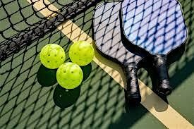Open Play Pickleball Winter, 7 January | Event in Deer Park | AllEvents