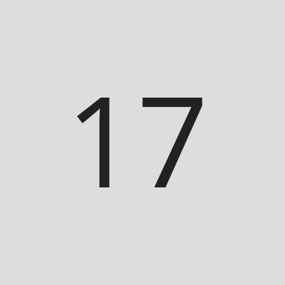 17MG
