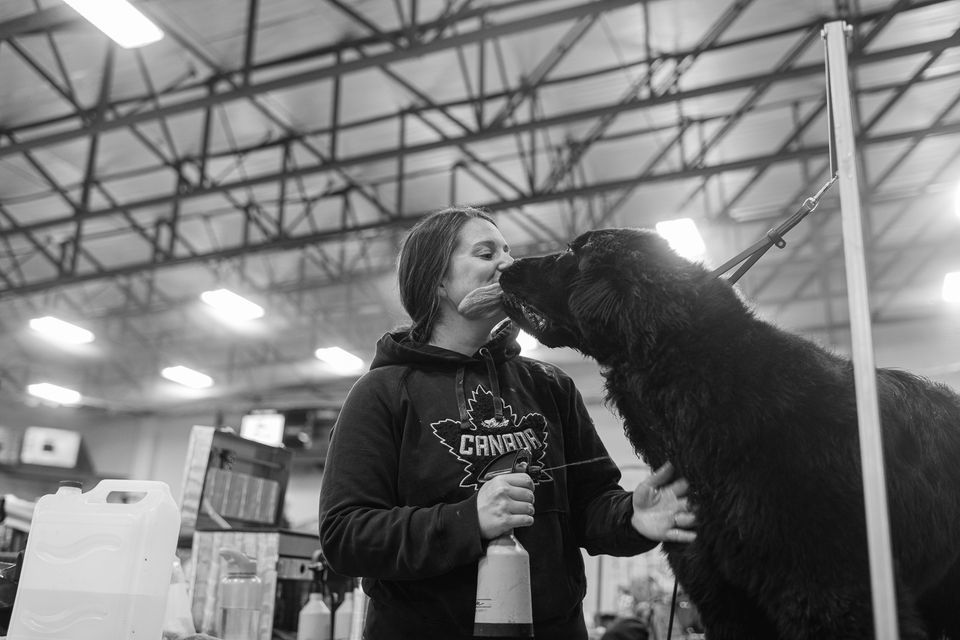 Grooming Seminar, The Dog Stop, Mississauga, January 21 2024 AllEvents.in