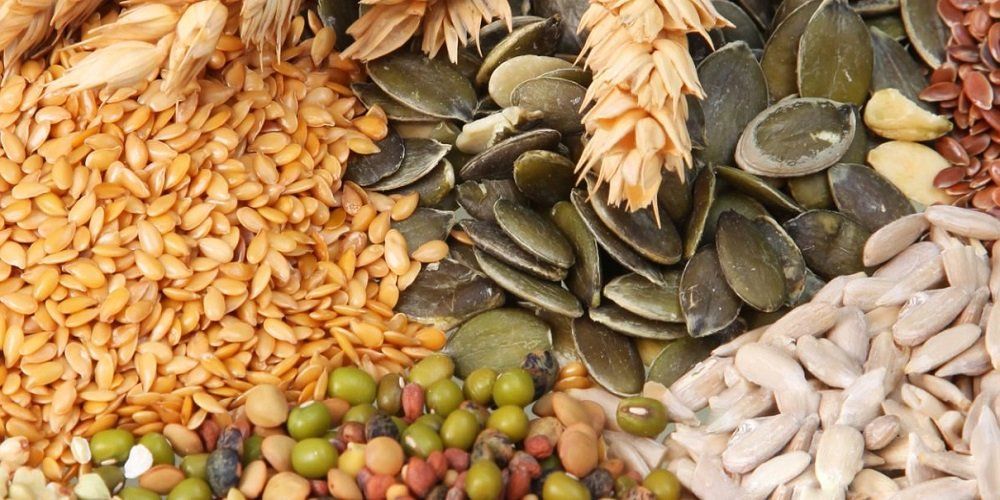 Seed Swap Community Event