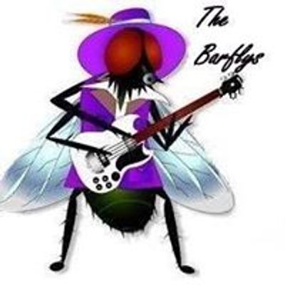 BarFlys Band