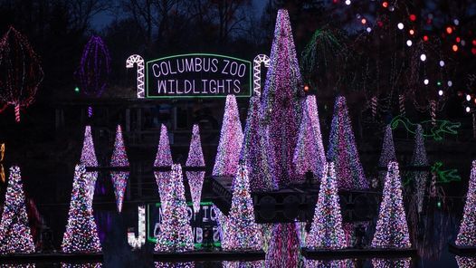 24+ Denver Zoo Christmas Lights 2021