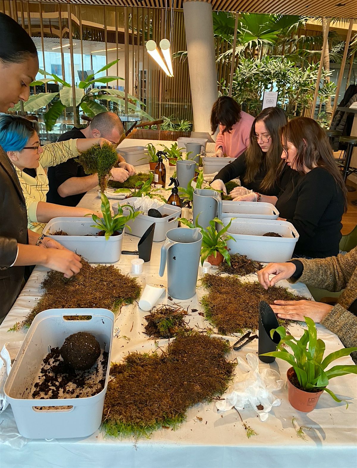 Gather & Make - Kokedama Workshop in the Garden