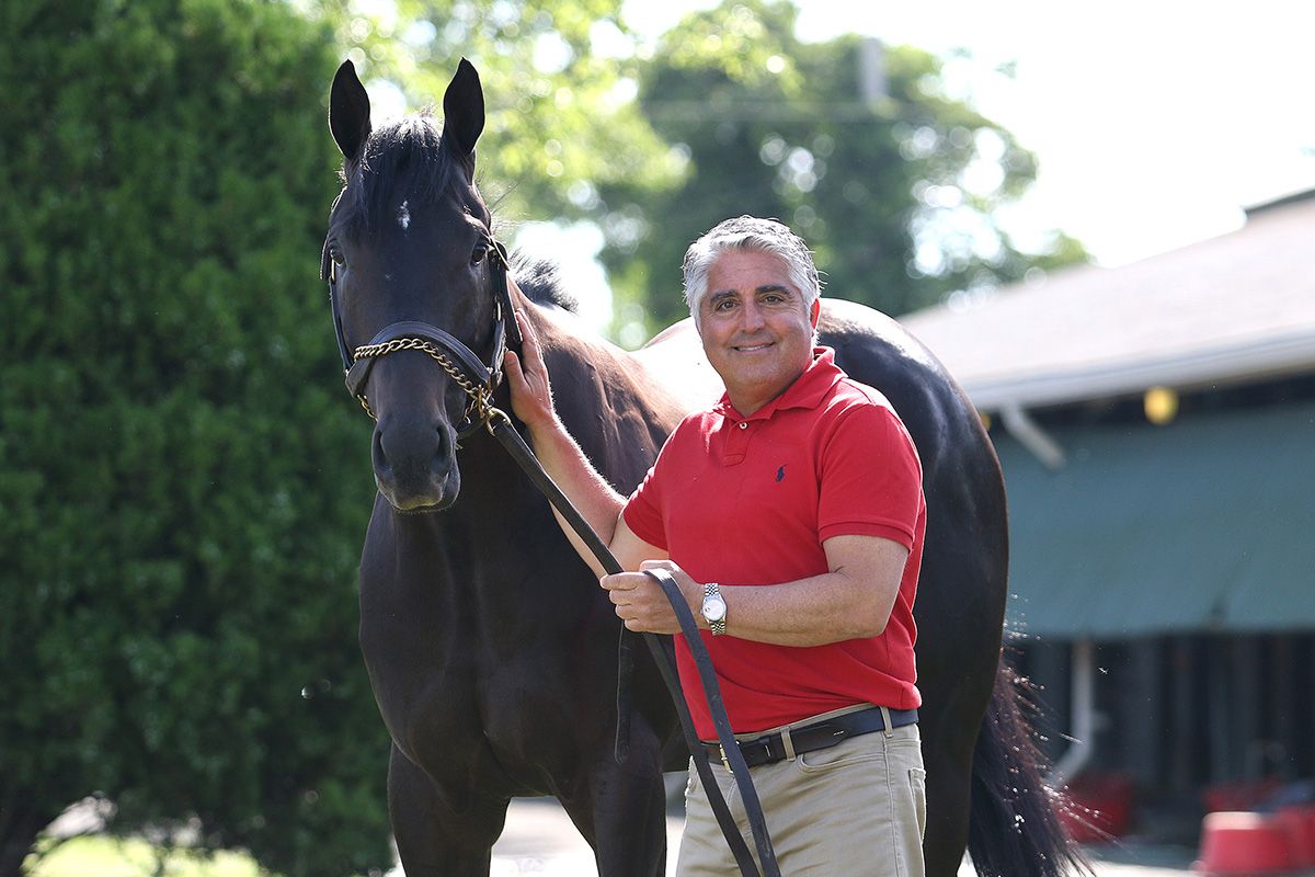 NYRA Bets Haskell Invitational Stakes, 18 July | Event in Oceanport | AllEvents