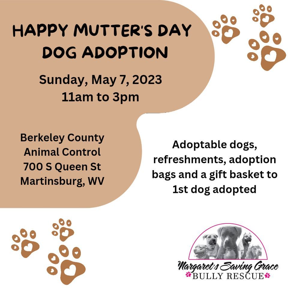 happy-mutters-day-dog-adoption-berkeley-county-animal-control-wv
