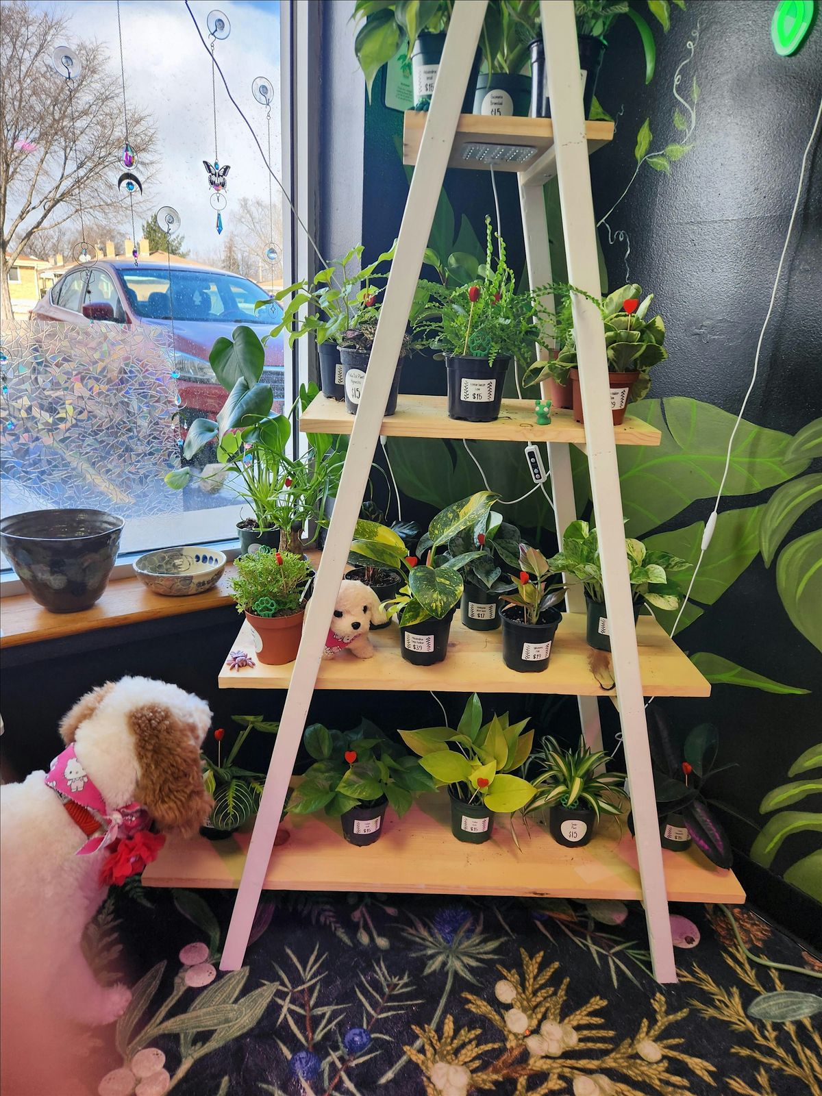 Plants N' Pups Therapy Workshop, 31 January | Event in Addison | AllEvents
