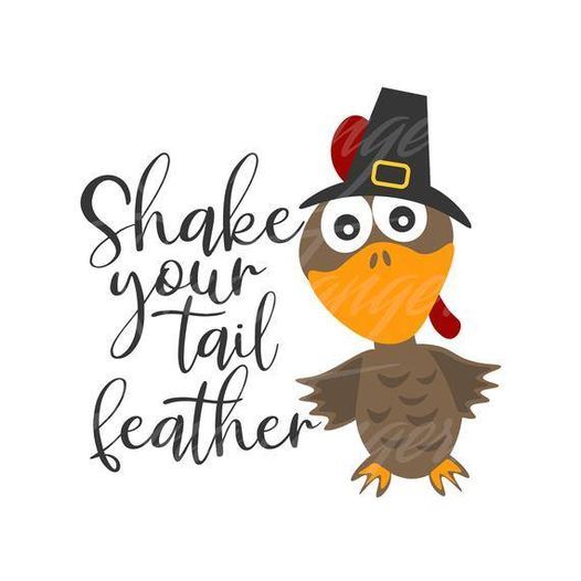 Shake Your Tail Feathers!, Studio X Vertical Fitness, Waterville, November 20 2020 | AllEvents.in